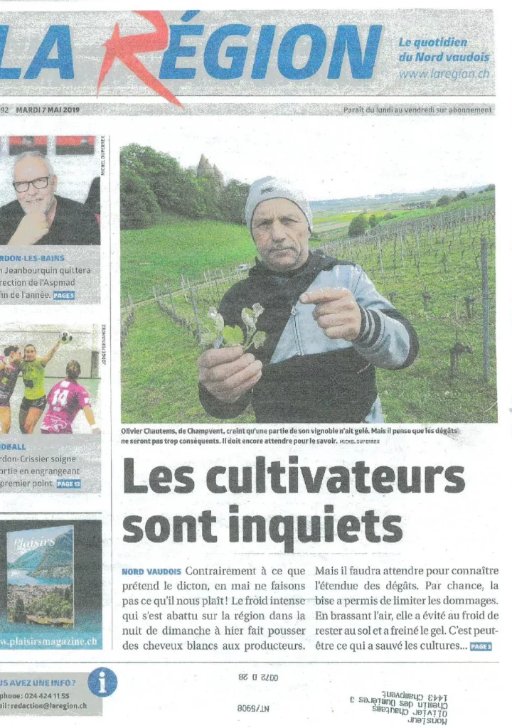 Une du journal La Région consacrée aux dégâts causés par le gel printanier de 2019, illustrée par une photographie d'Olivier Chautems montrant des jeunes pousses de vigne endommagées.