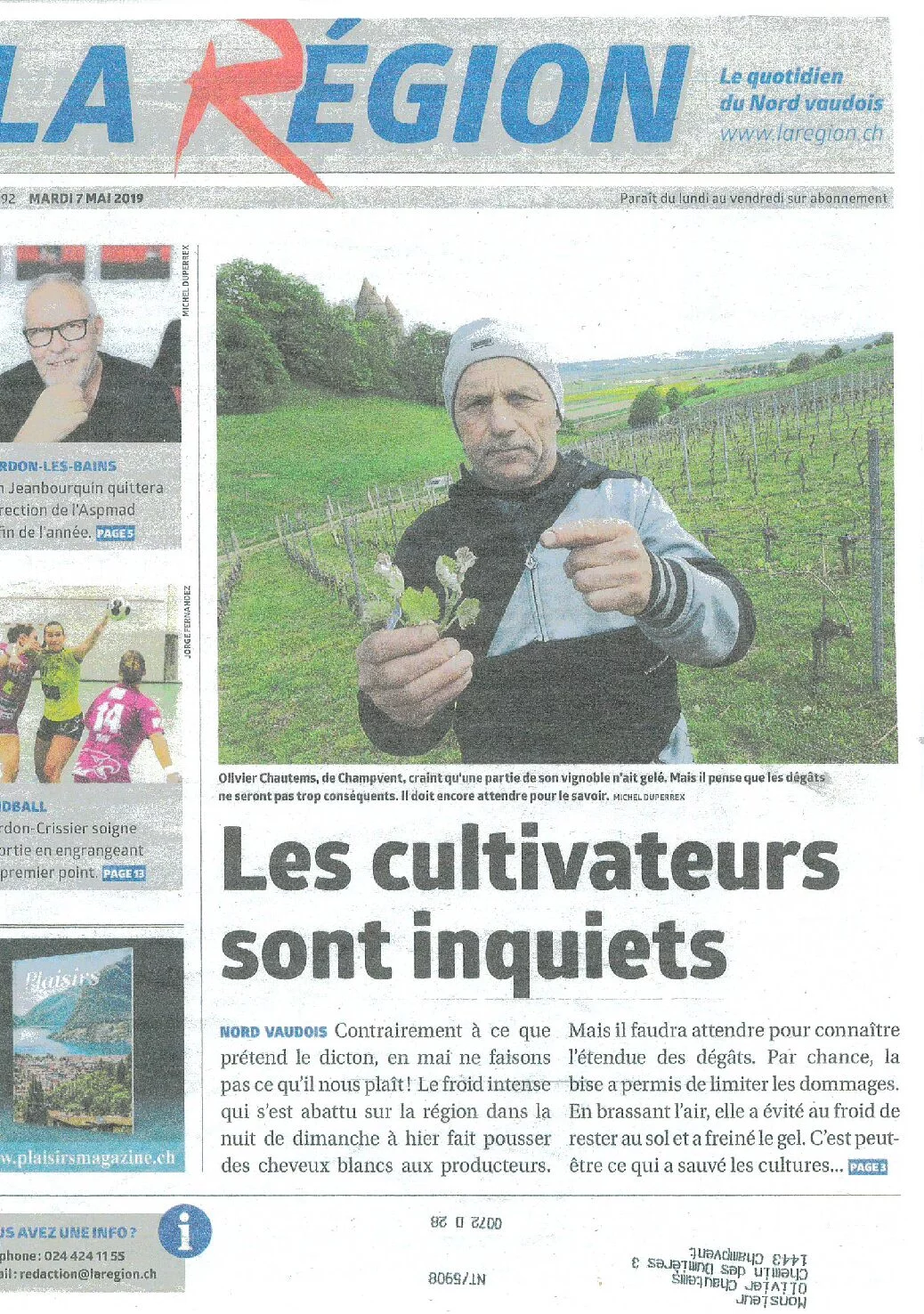Une du journal La Région consacrée aux dégâts causés par le gel printanier de 2019, illustrée par une photographie d'Olivier Chautems montrant des jeunes pousses de vigne endommagées.
