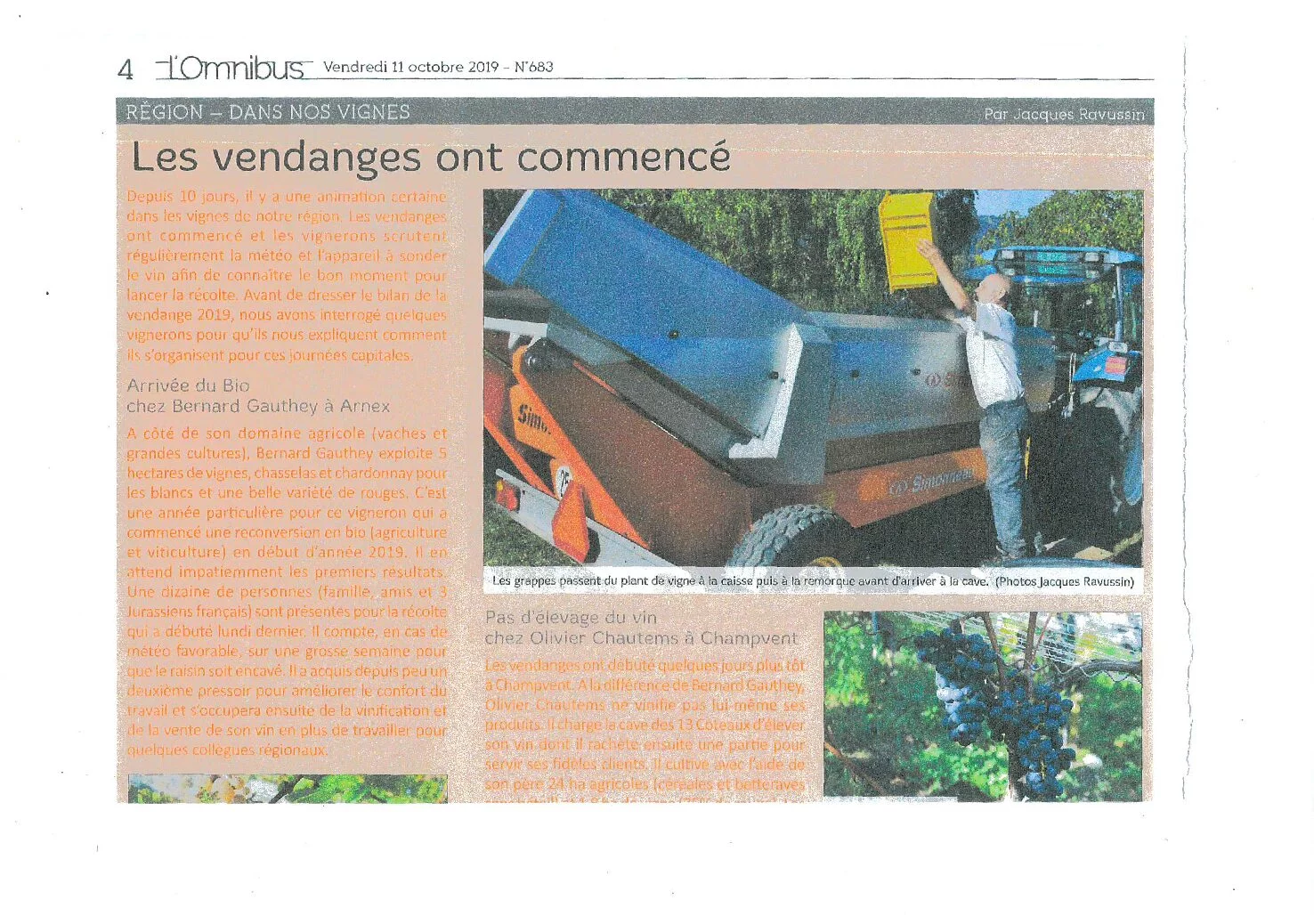 Article de presse consacré au début des vendanges dans les Côtes de l'Orbe, avec un focus sur le Domaine des Dumières et Olivier Chautems.